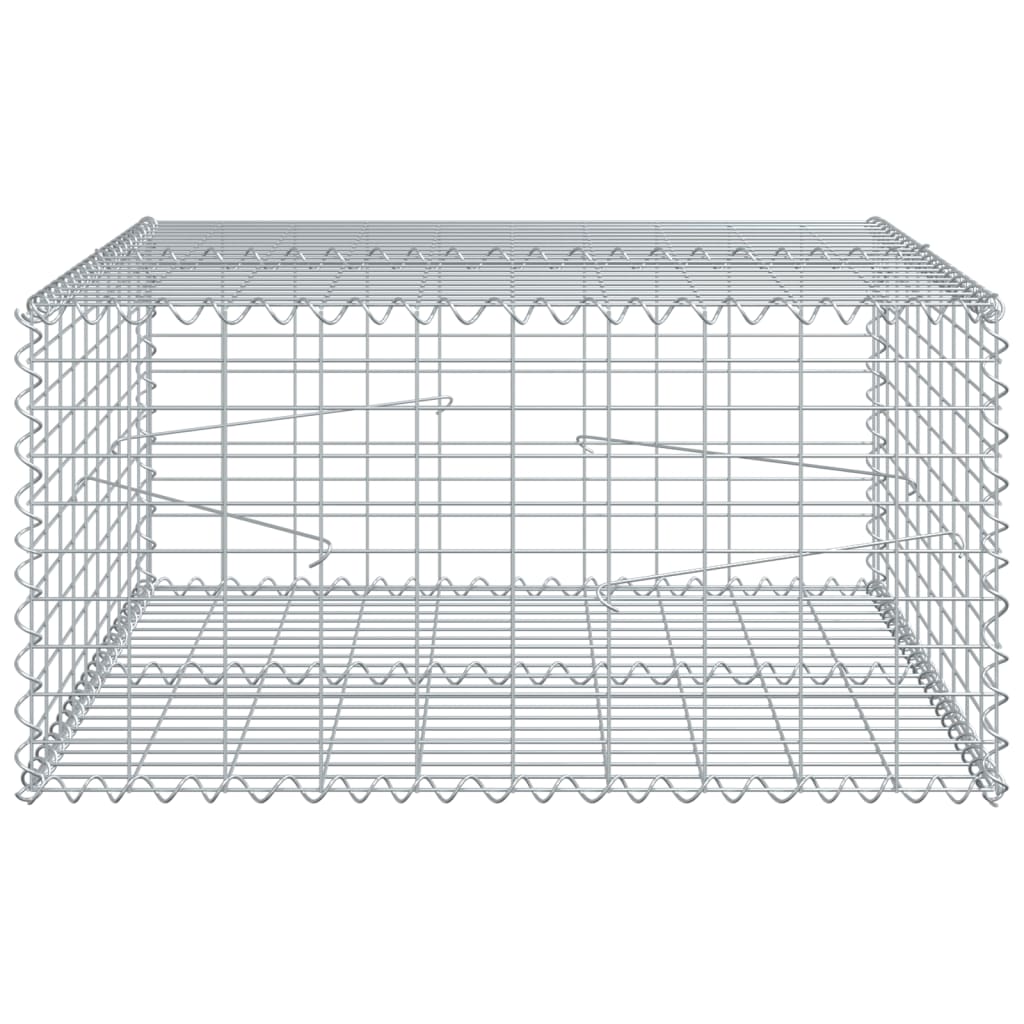 vidaXL Gabion Basket with Cover 39.4x19.7x39.4 in Galvanized Iron Outdoor Landscaping Stone Cage